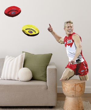 Descriptive image text