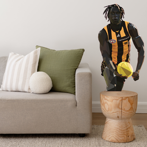 Descriptive image text