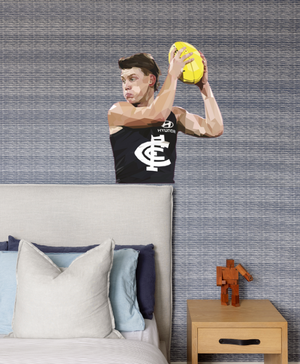 Descriptive image text