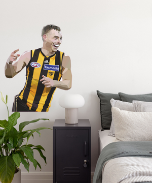 Descriptive image text