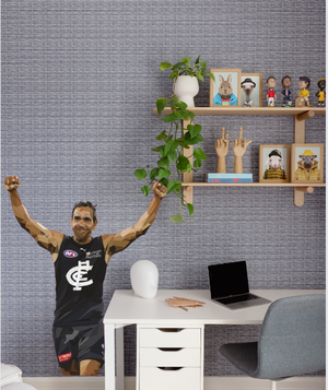 Descriptive image text