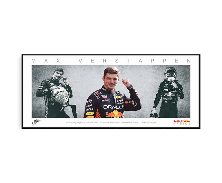 Max Verstappen F1 Panoramic 1