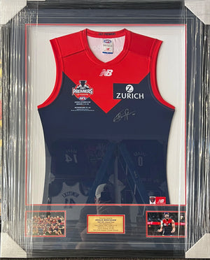 Descriptive image text