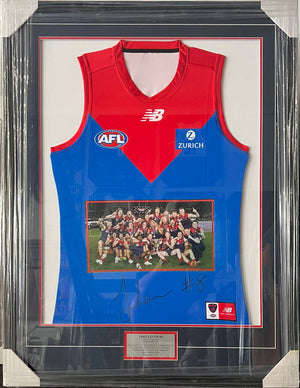 Descriptive image text