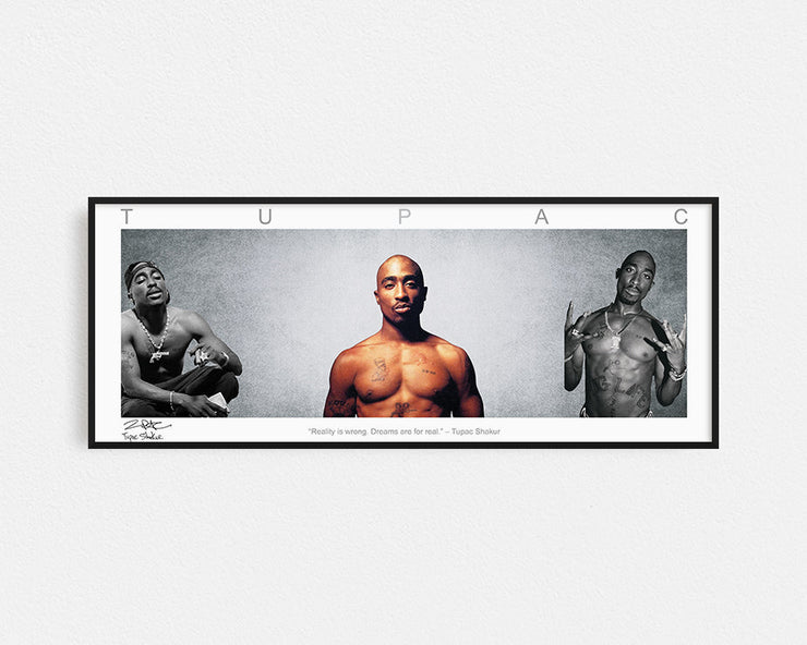 TUPAC PANORAMIC COLLAGE PRINT FRAMED WINGS